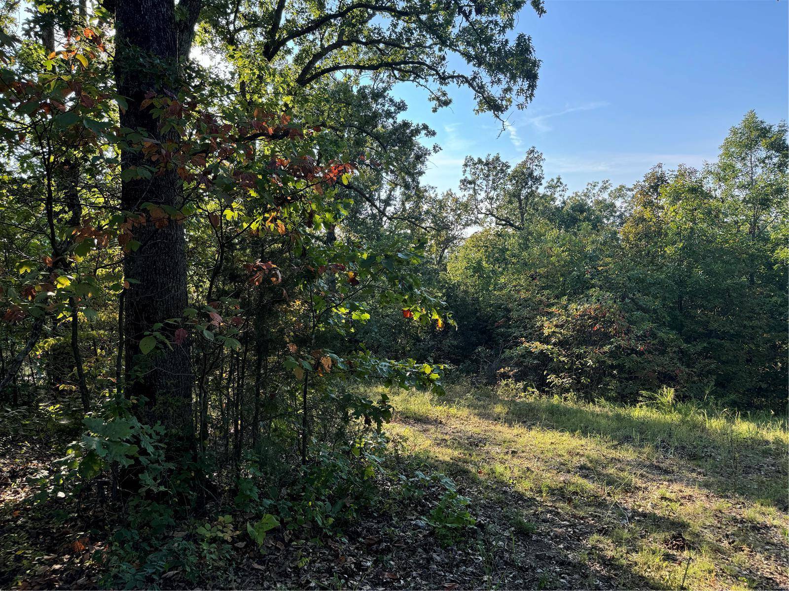 Perryville, MO 63775,0 Lot 6b Lakeview DR