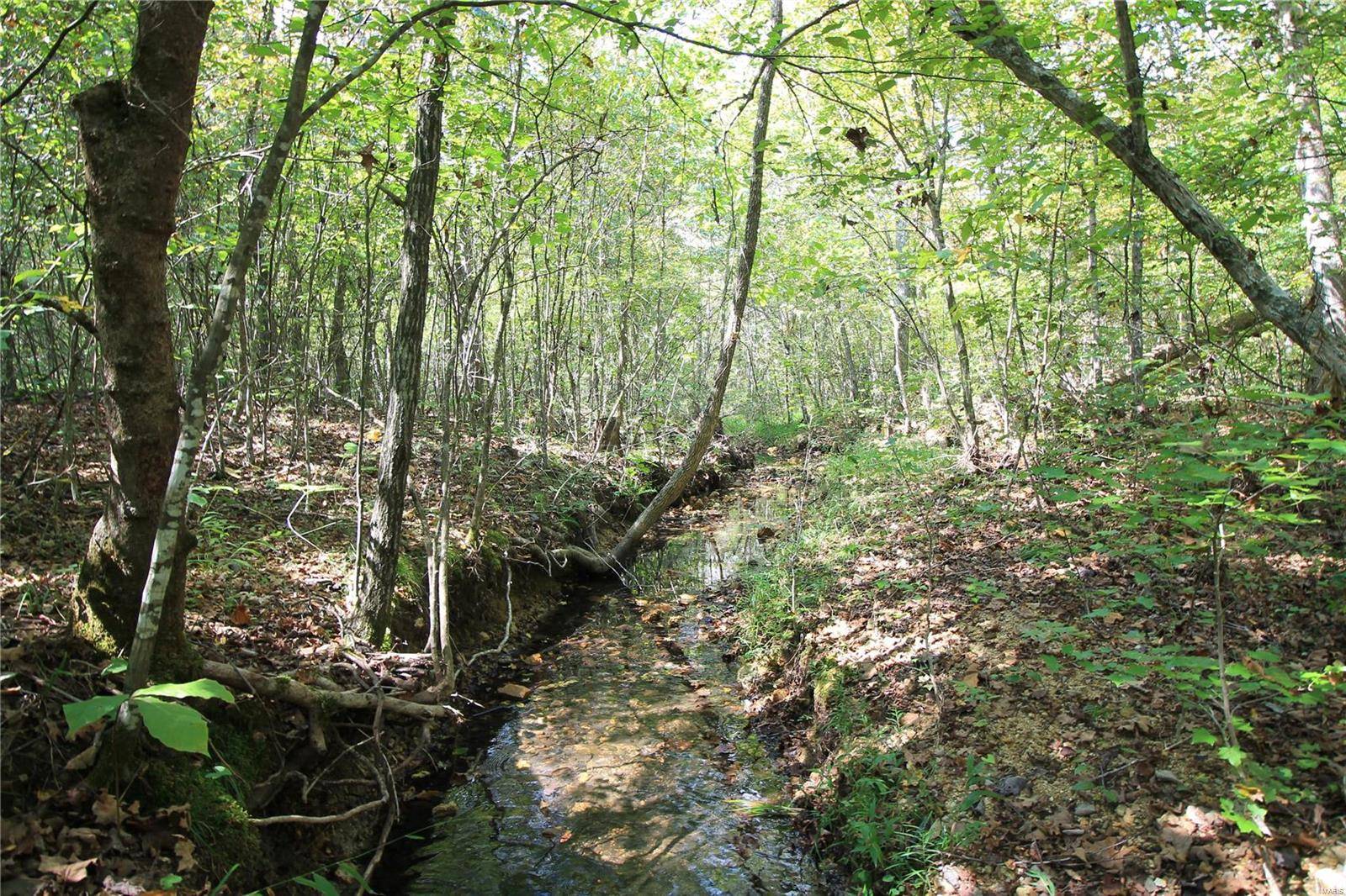 Fredericktown, MO 63645,0 Madison CR 9421 (107) #107