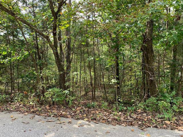 Hillsboro, MO 63050,9651 Moonshine DR