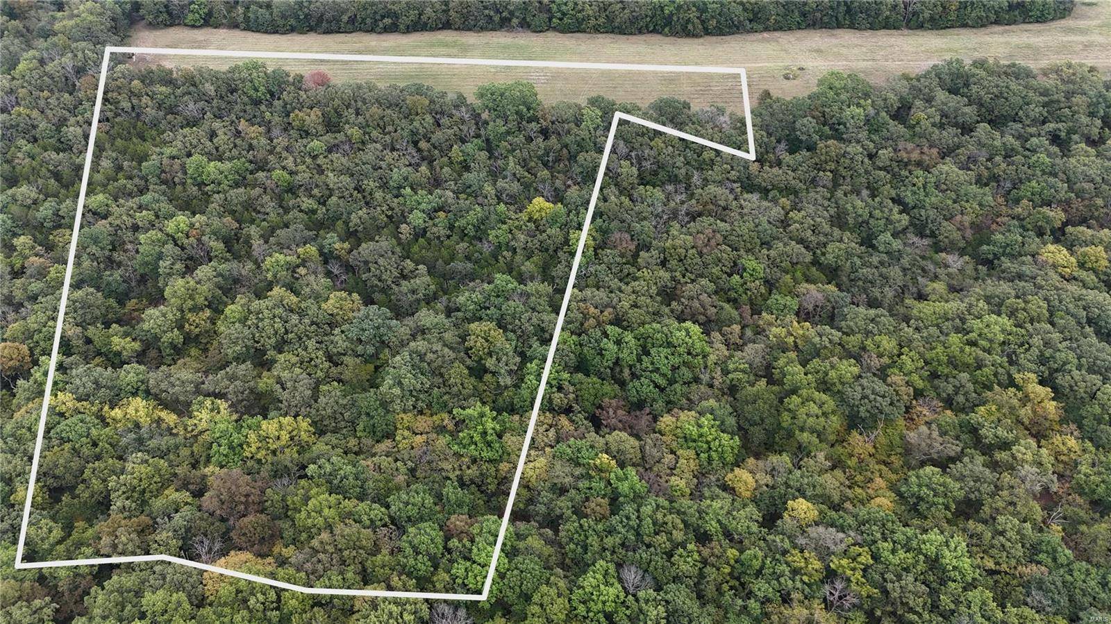 Festus, MO 63028,15 Tanglefoot Farms Road