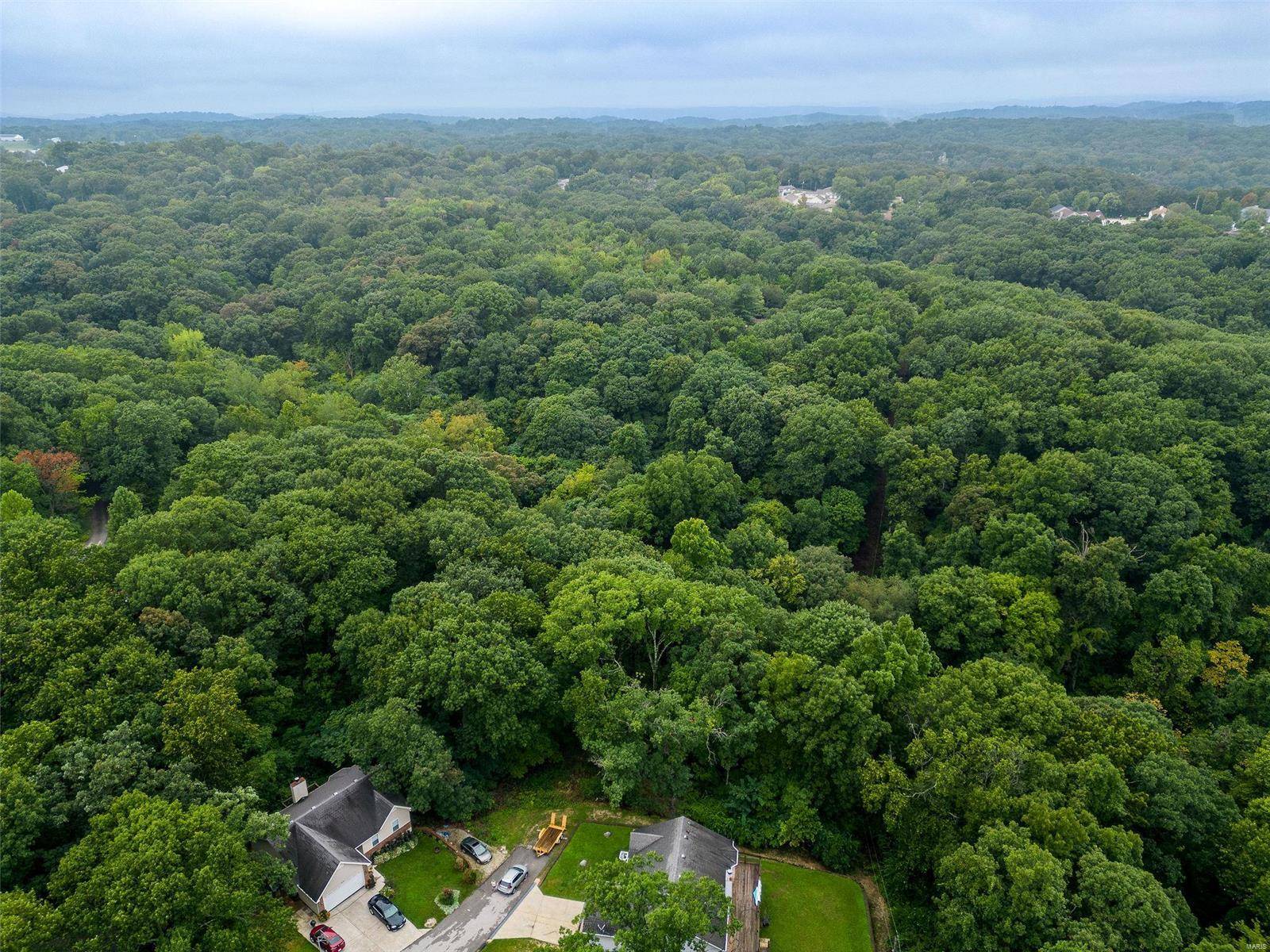 High Ridge, MO 63049,0 Betty Drive
