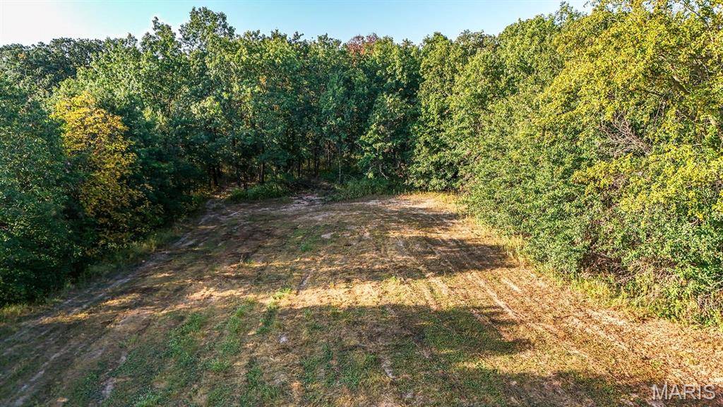 Perry, MO 63462,10 Hopkins RD