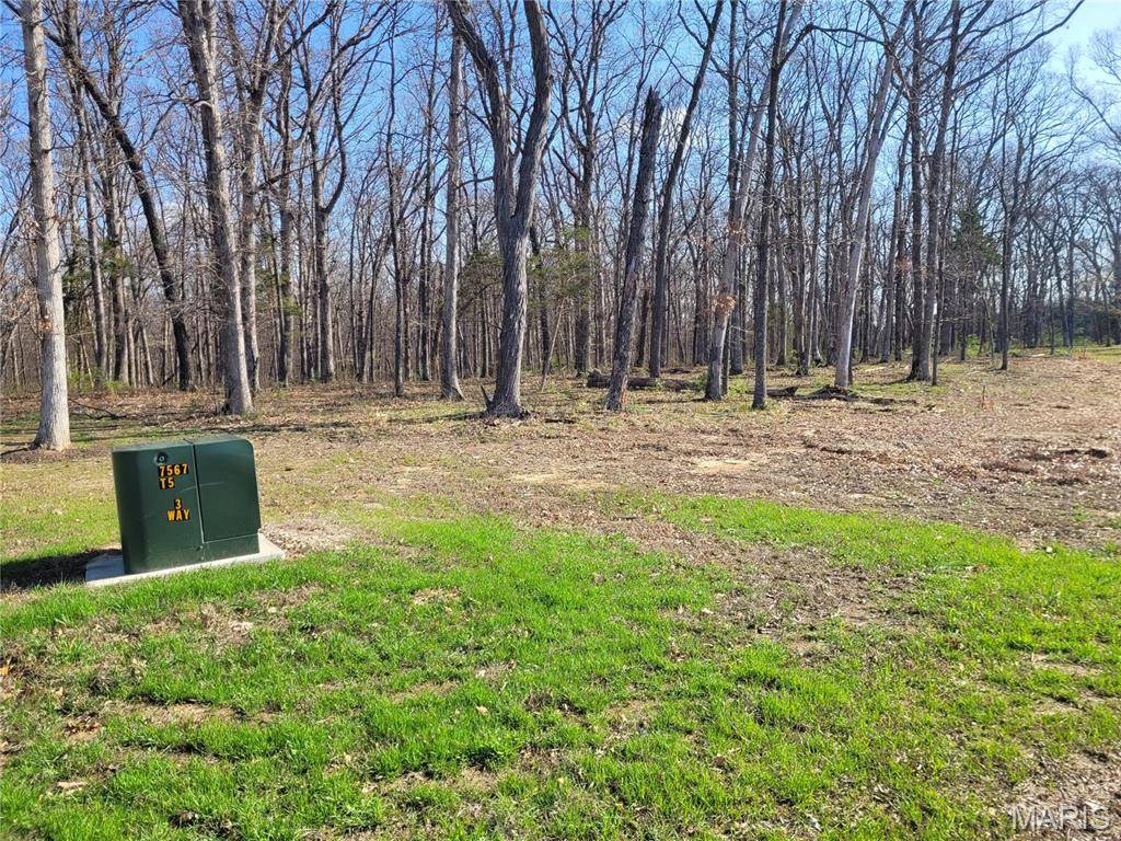 Foristell, MO 63348,235 Hidden Sanctuary (Lot 7) DR