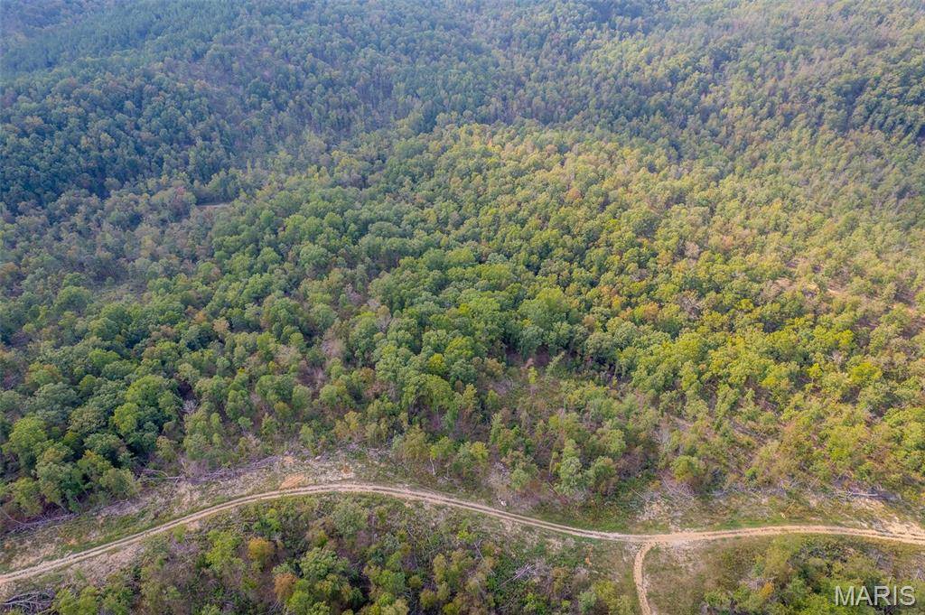 Fredericktown, MO 63645,0 Madison CR 410 (119B) #119B