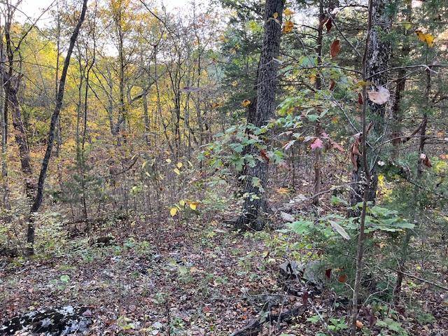 New Florence, MO 63363,0 Lot 532 Oak DR