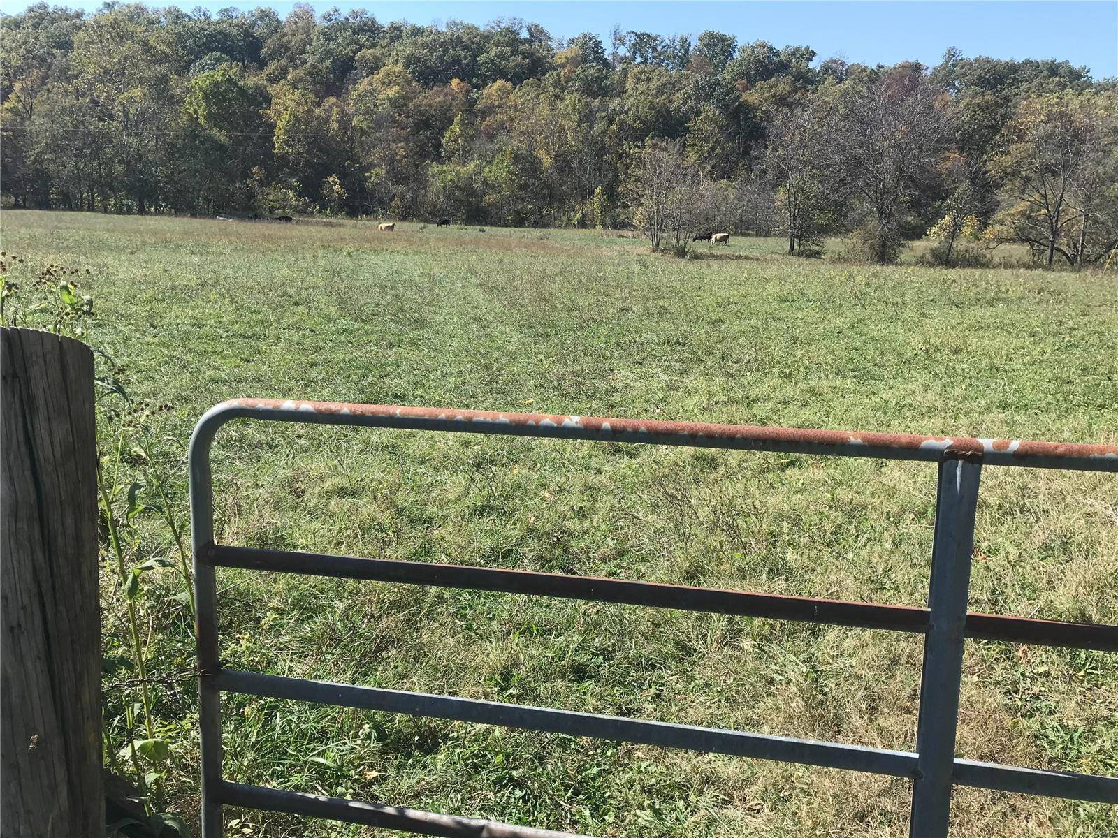 Boss, MO 65440,4430 N County Road RD N