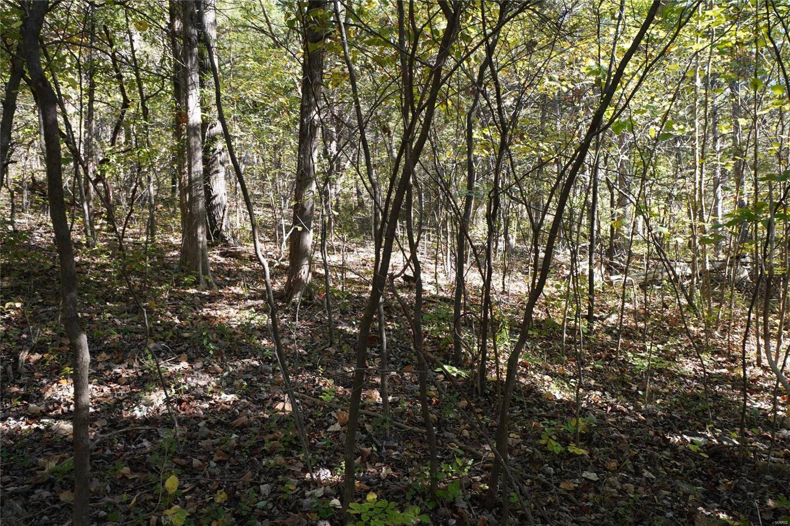 Hermann, MO 65041,0 Epple-Fricke Drive