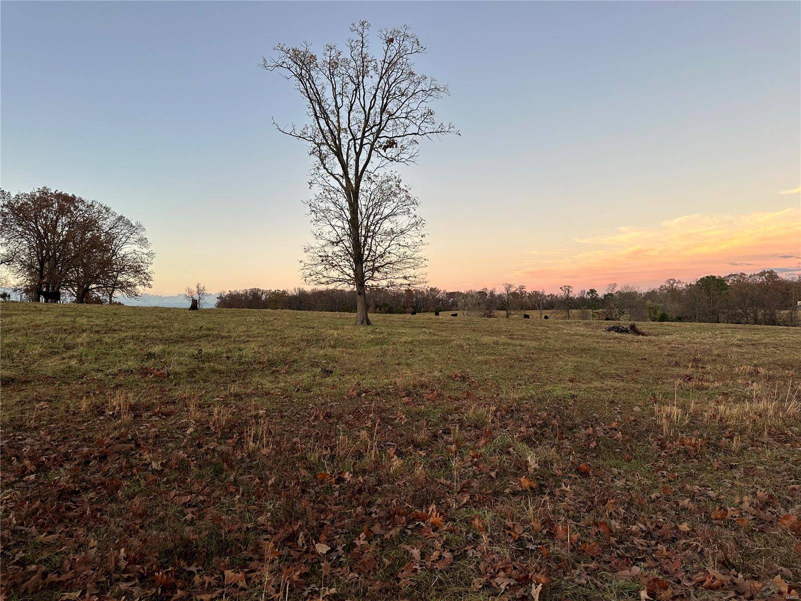 Rosebud, MO 63091,Address not disclosed