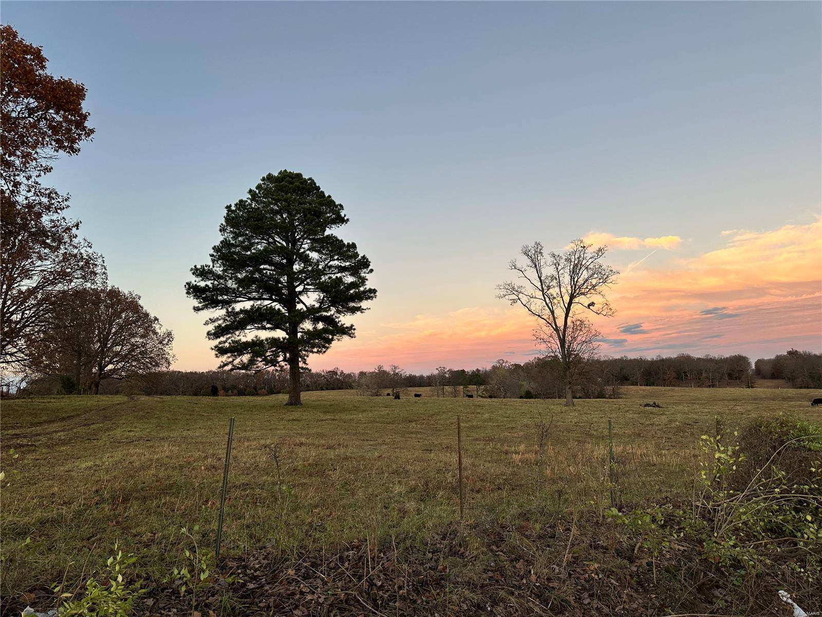 Rosebud, MO 63091,Address not disclosed