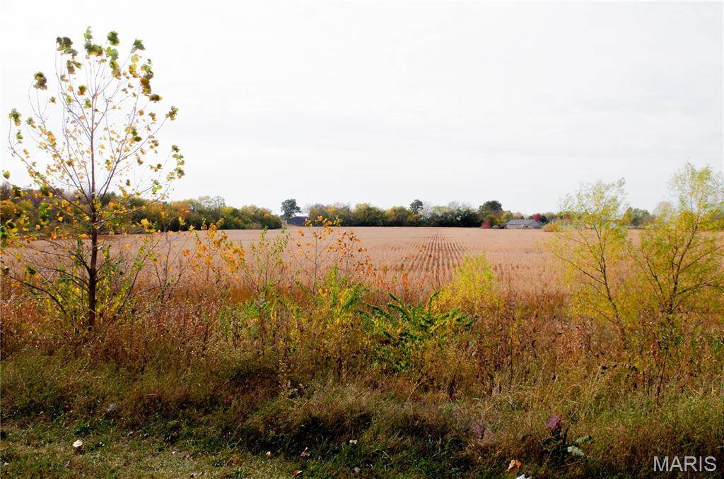 Bowling Green, MO 63334,312 Pike County Road