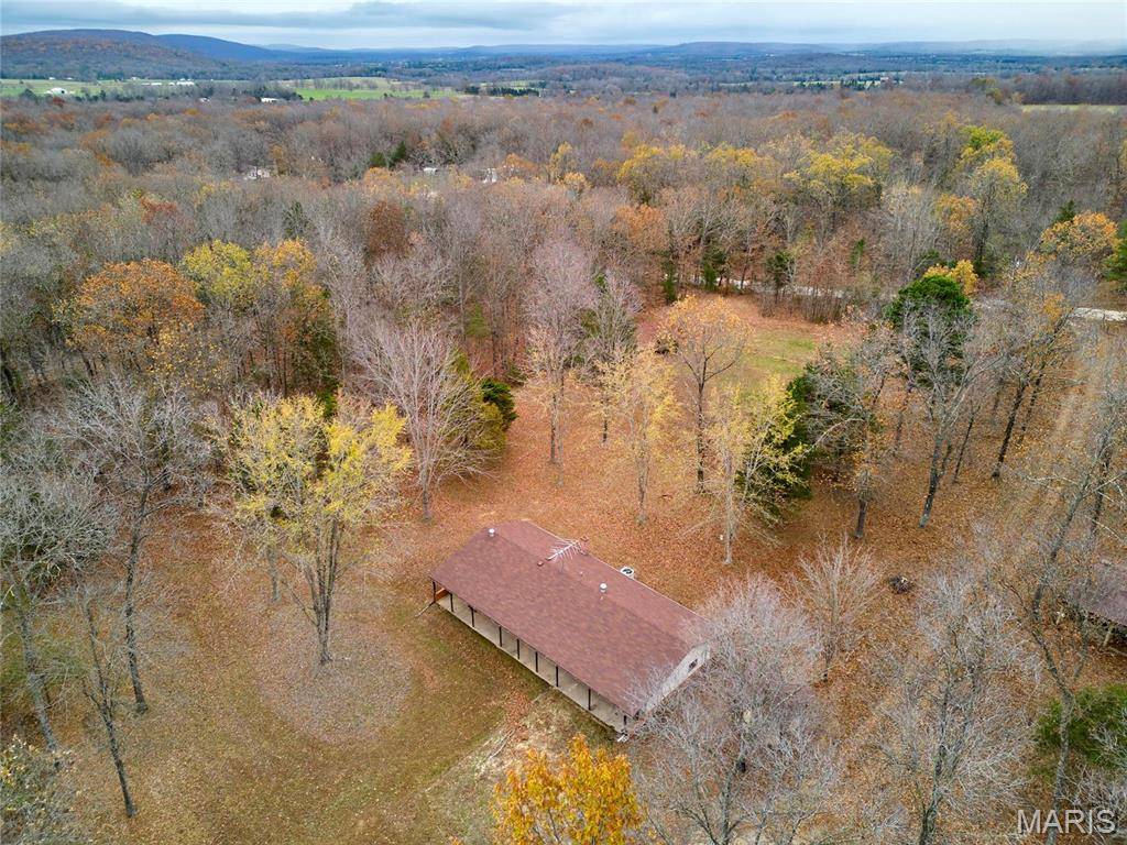 Caledonia, MO 63631,10994 Webster RD