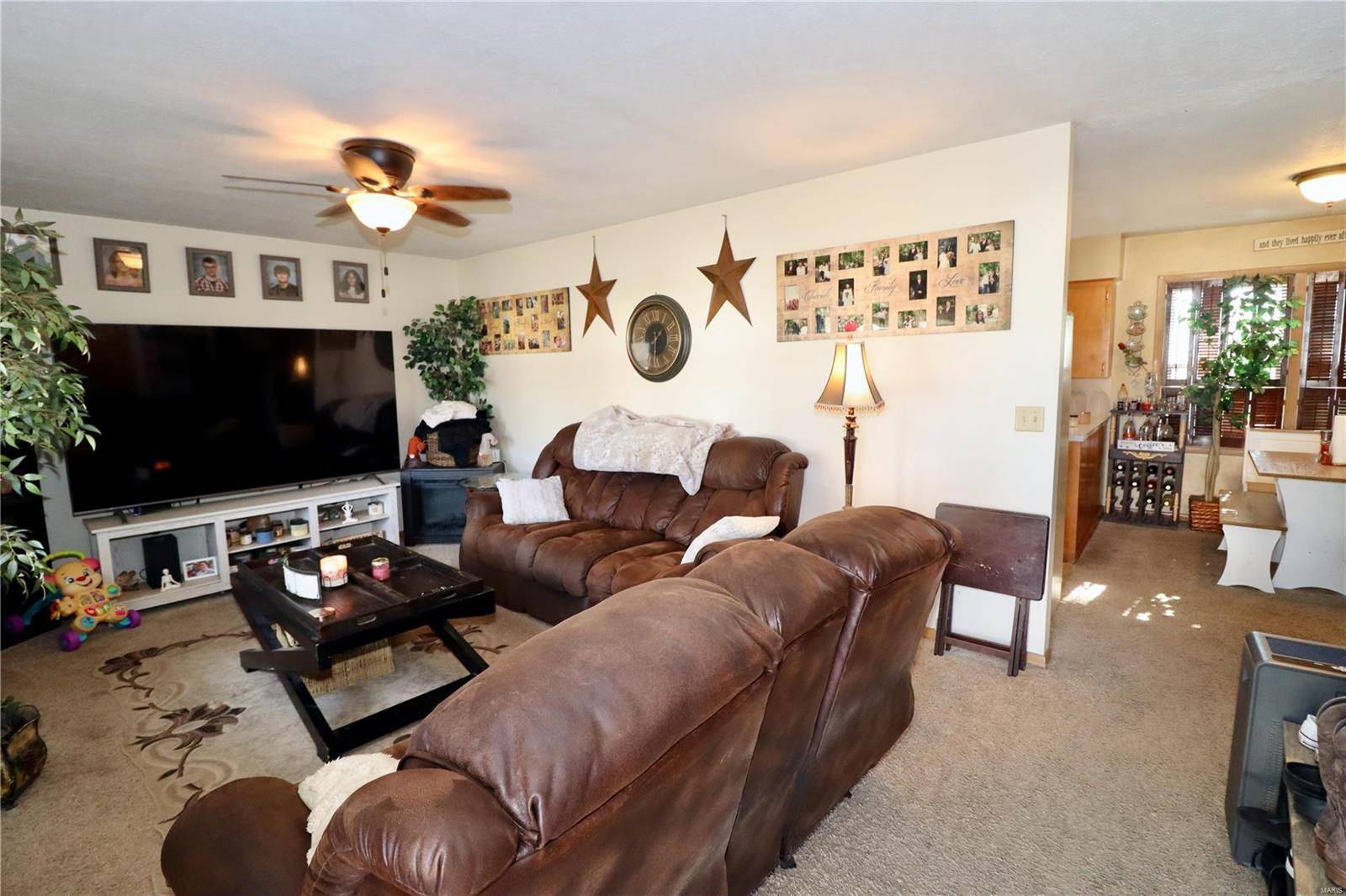 Lebanon, MO 65536,247 Kuhn ST