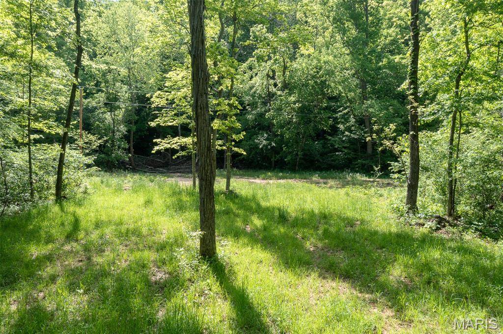 Marquand, MO 63655,0 Tract 2 off Madison 320