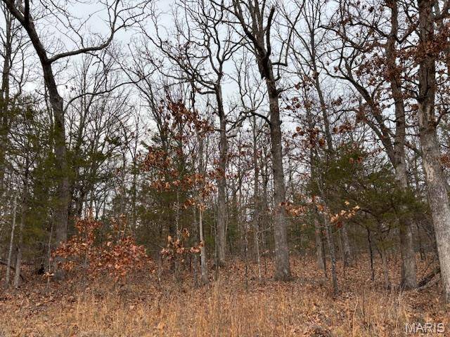 Cuba, MO 65453,194 Hickory DR