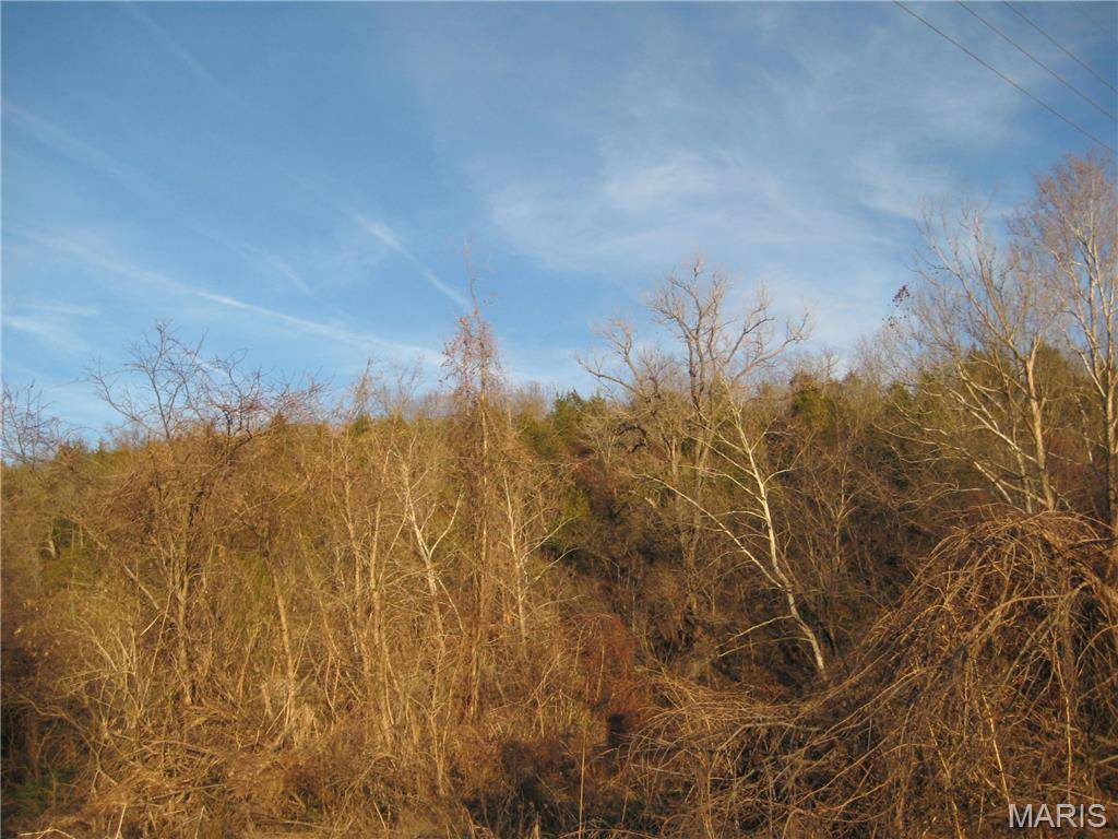 De Soto, MO 63020,0 BOGY ST