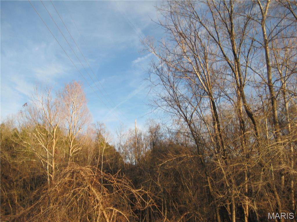 De Soto, MO 63020,0 BOGY ST