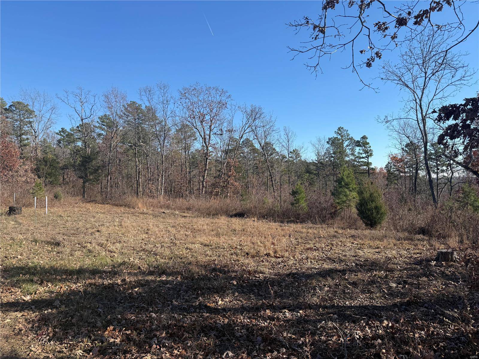 Other, MO 63645,0 Tract 2 Off Bidwell Creek Rd