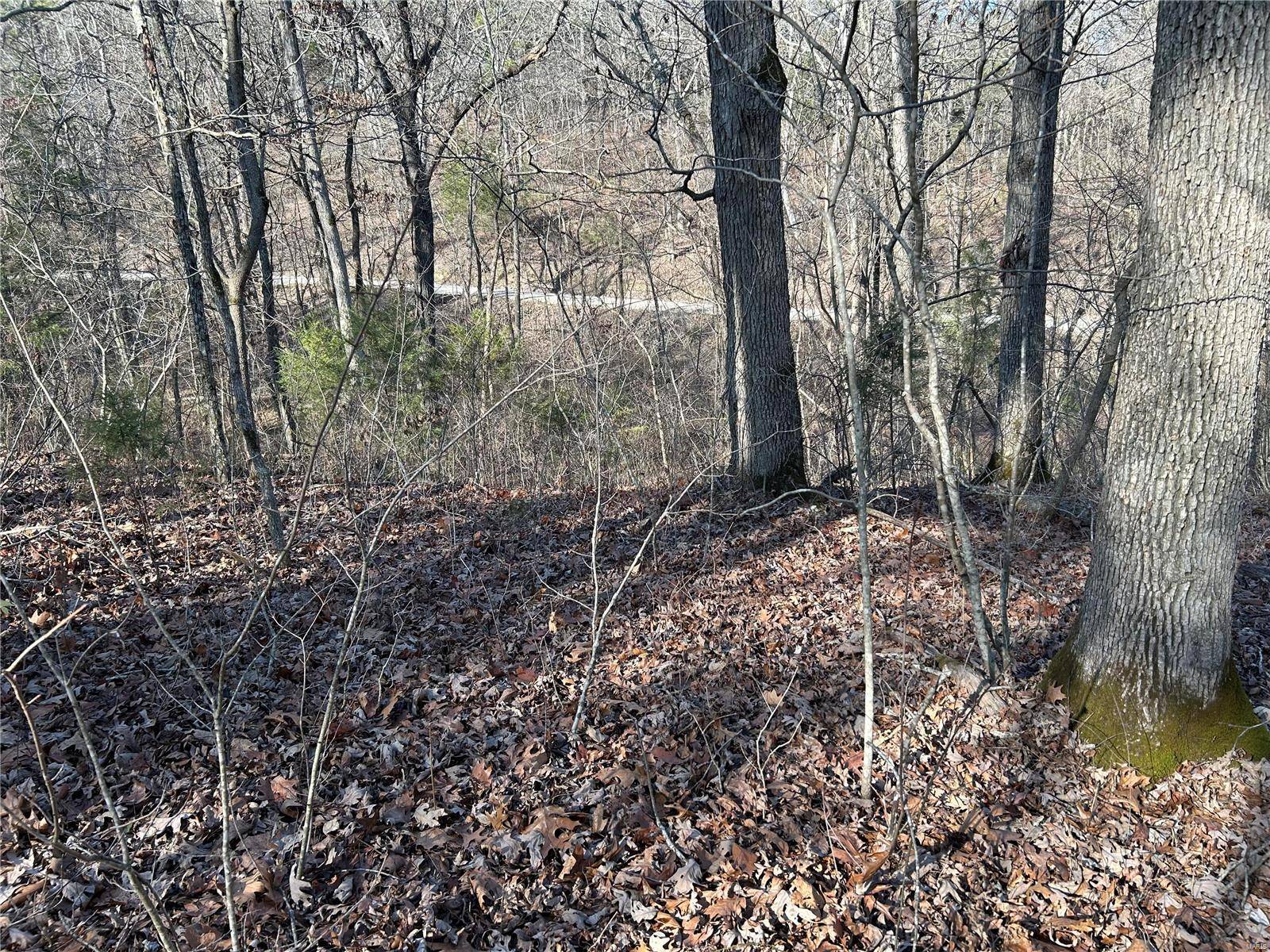 Licking, MO 65542,0 Slabtown RD