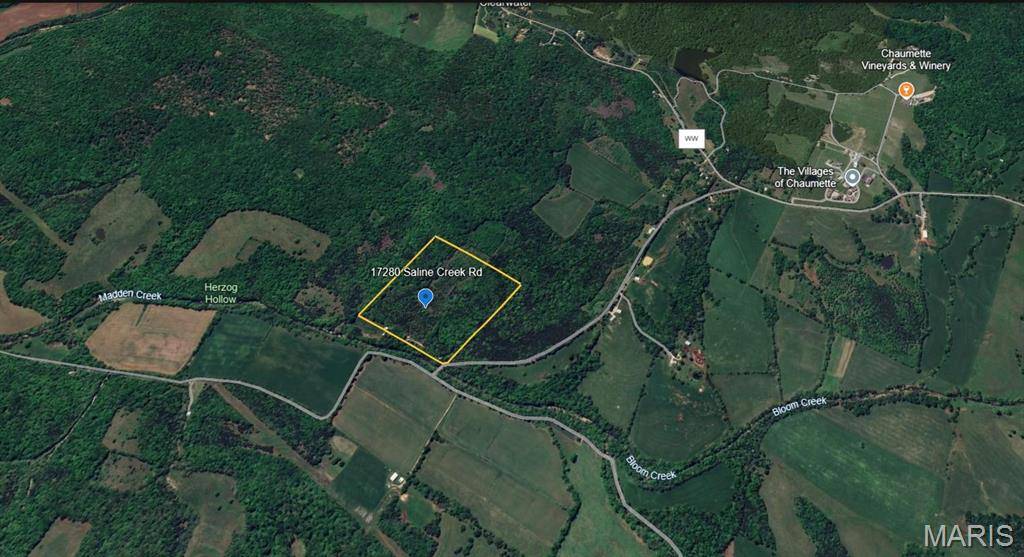 Other, MO 63670,17280 Saline Creek RD