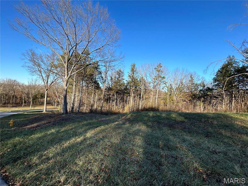 Labadie, MO 63055,1 Lot 1 Iron Horse TRL