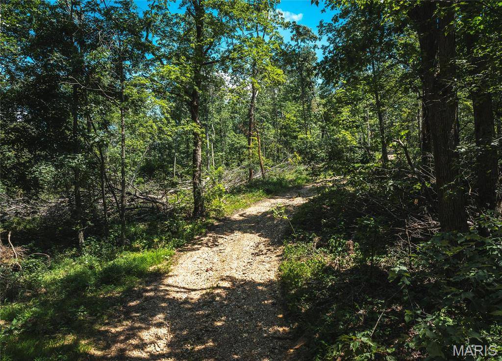 Ellington, MO 63638,0 Highway B 54