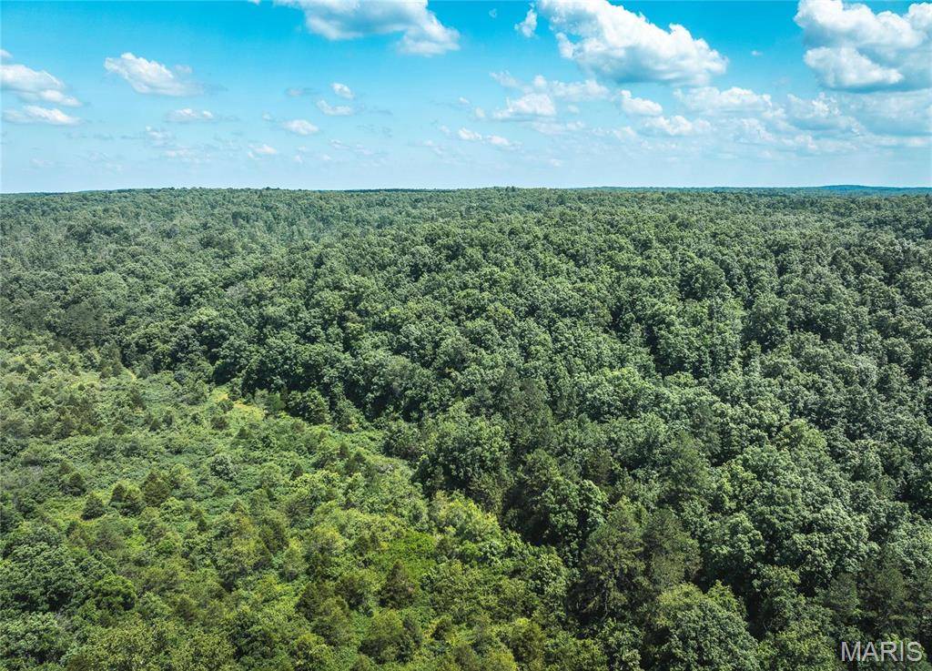 Ellington, MO 63638,0 Highway B 19