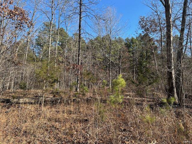 Annapolis, MO 63620,1 CR 204