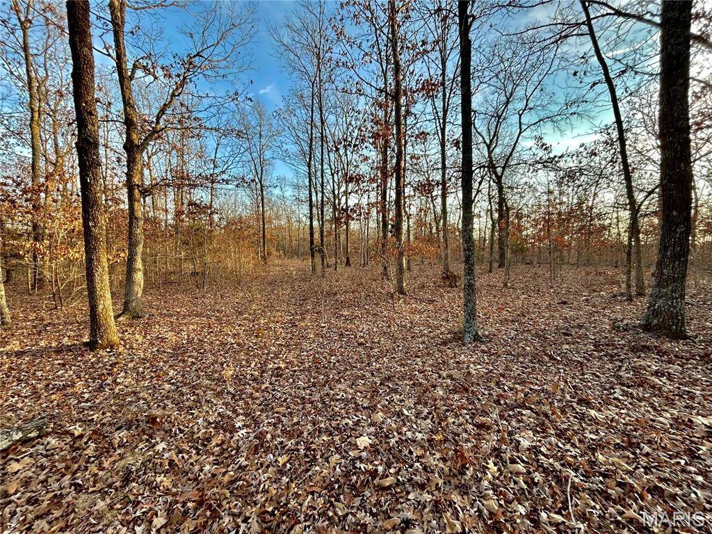 Salem, MO 65560,0 TBD Tract 1 Highway CC