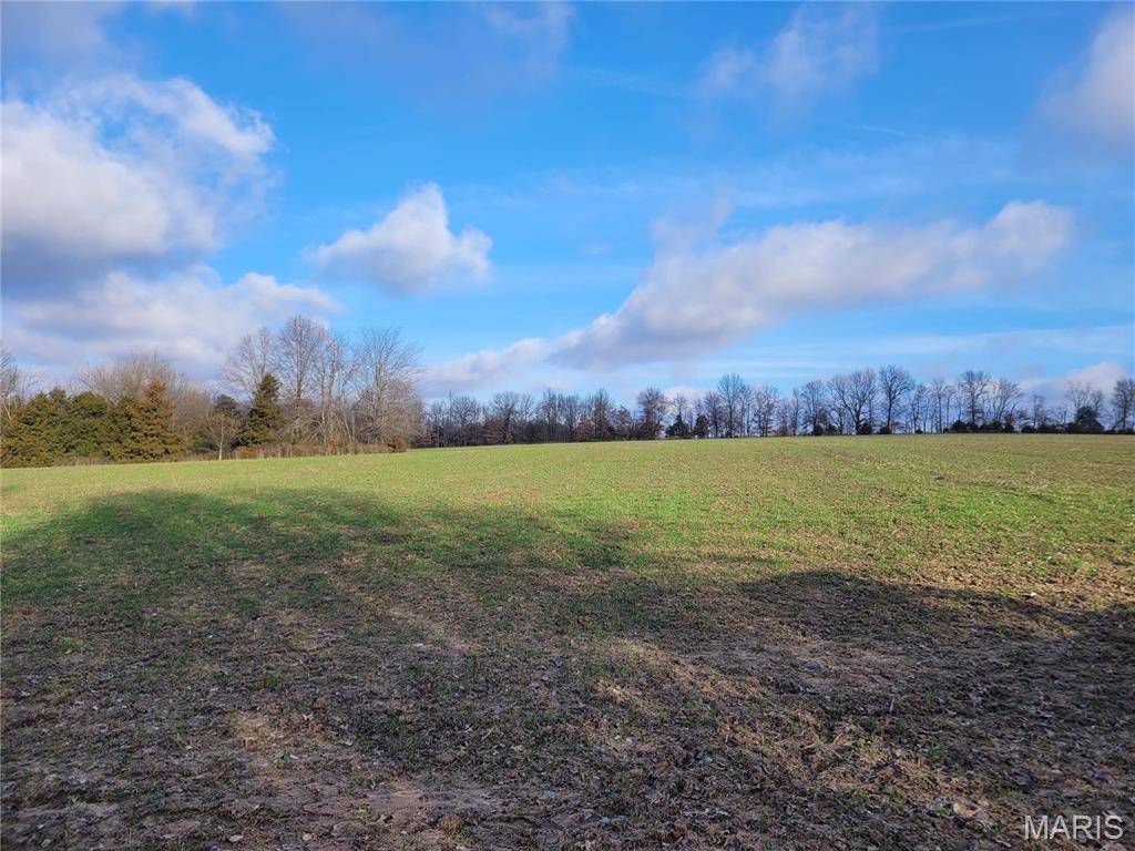 Middletown, MO 63359,0 Bales Rd. (81.8+/- Acres)