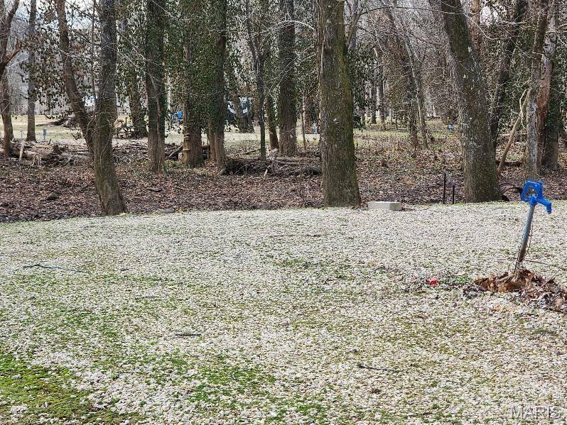 Van Buren, MO 63965,0 BROWN ROAD