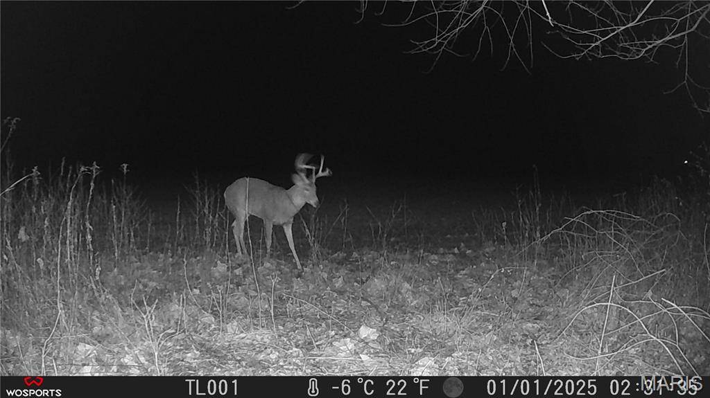 Middletown, MO 63359,0 Bales Rd. (55.3+/- Acres)