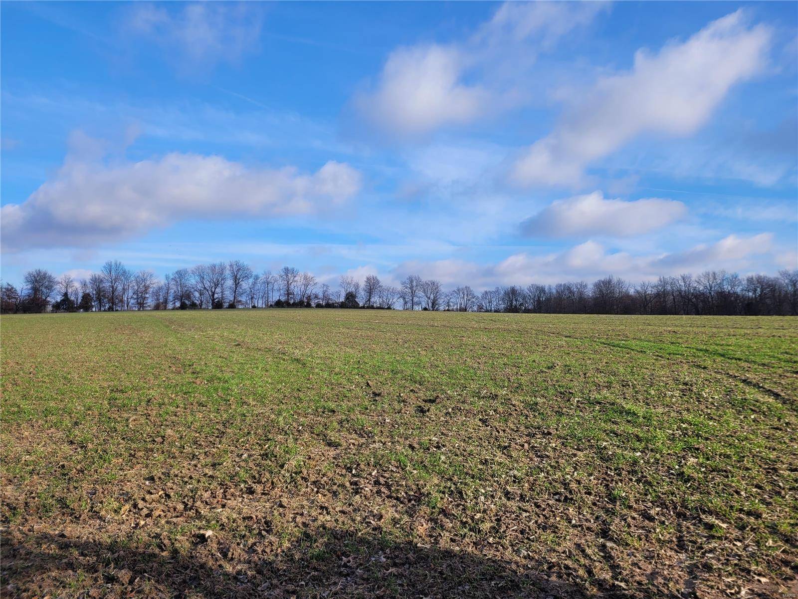 Middletown, MO 63359,0 Bales Rd. (26.5+/- Acres)