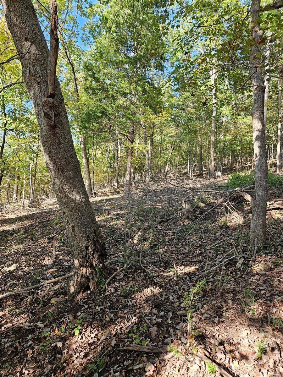 Lake Sherwood, MO 63357,138 N Lake Sherwood Dr.