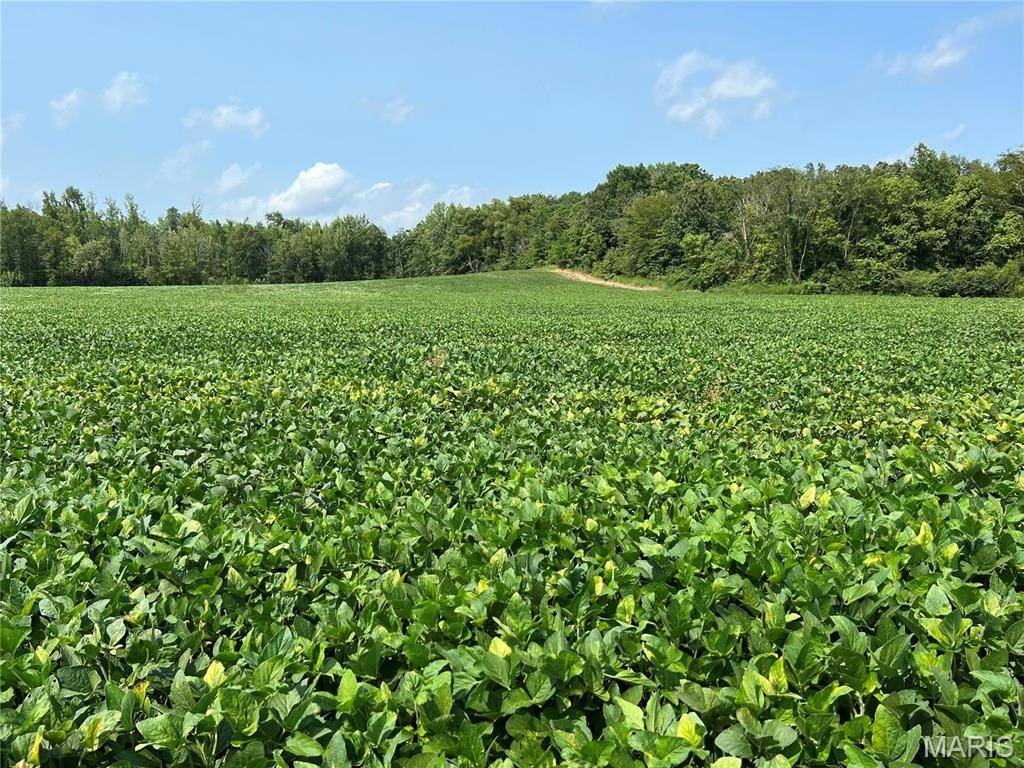 Advance, MO 63730,0 County Road 256