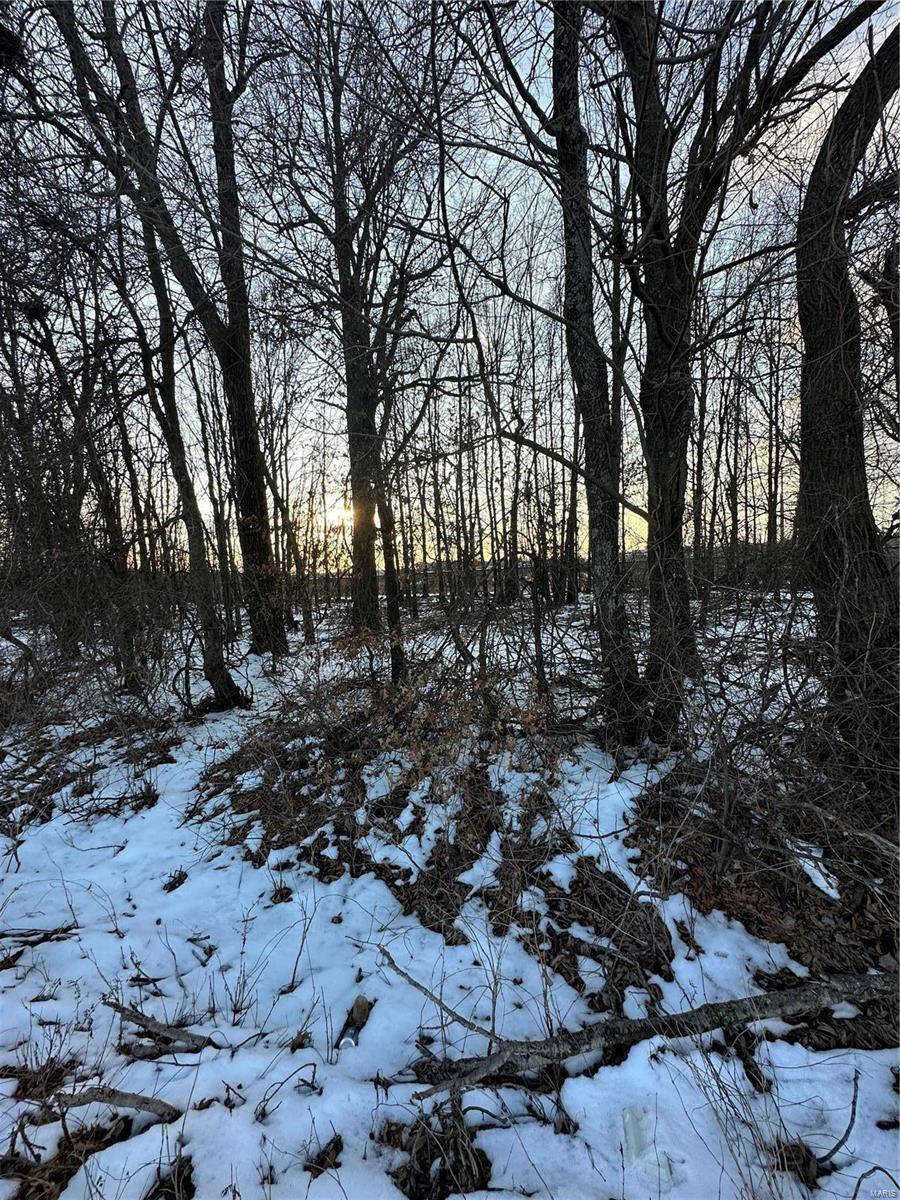 Neelyville, MO 63964,0 County Road 268