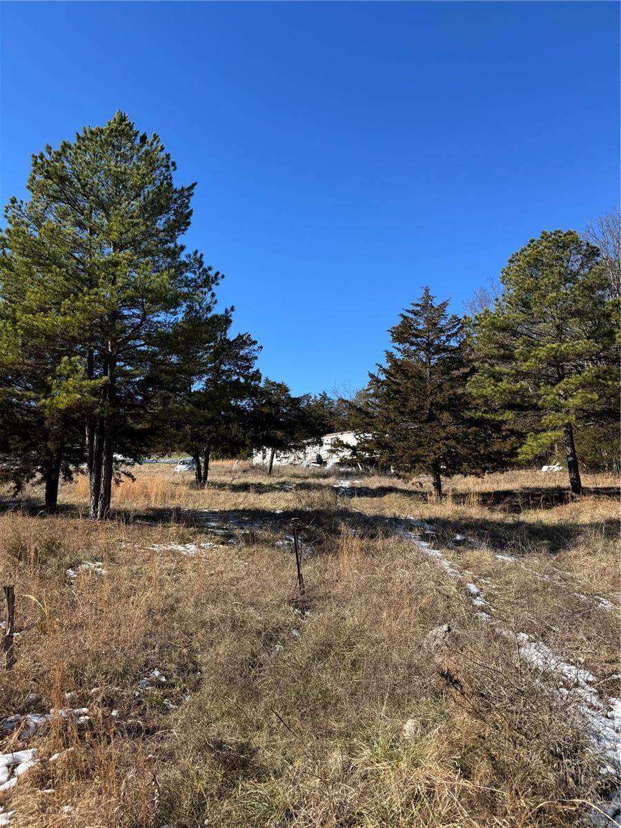 Unincorporated, MO 65552,0 Walnut Road - Tract B