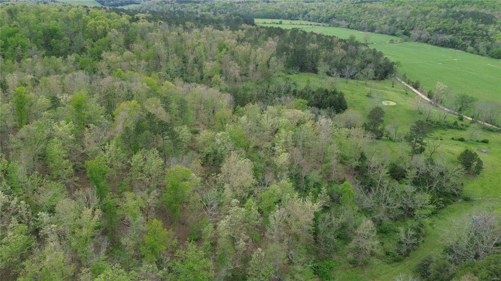 Other, MO 65560,0 Ashley Crk Road