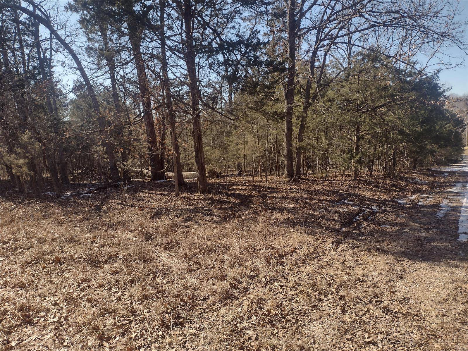 Bonne Terre, MO 63628,0 Calista DR