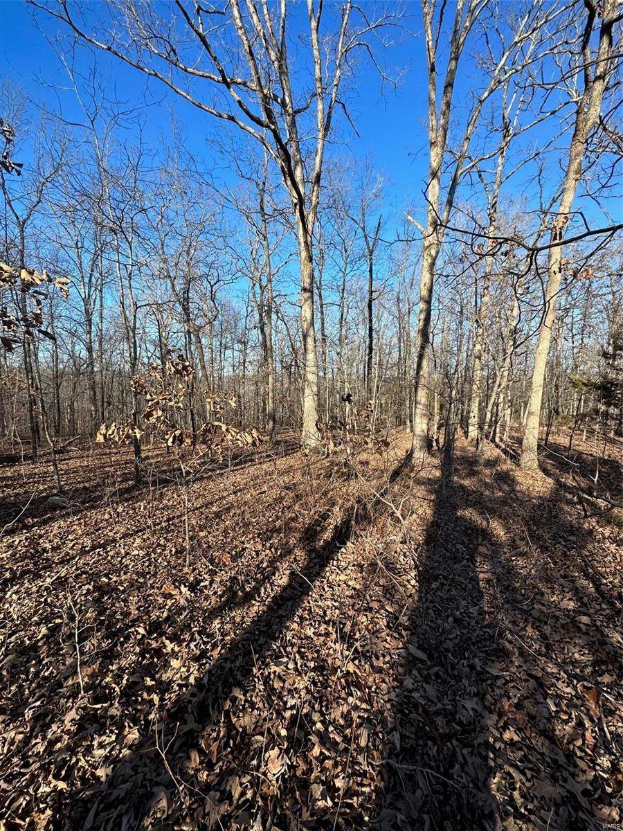 Wappapello, MO 63966,0 Runnels Drive