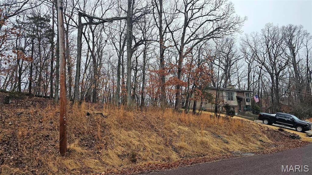 Lake Sherwood, MO 63357,717 Hearthstone DR