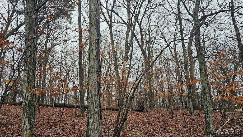 Lake Sherwood, MO 63357,717 Hearthstone DR