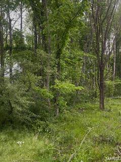 Dexter, MO 63841,0 Tamarak LN