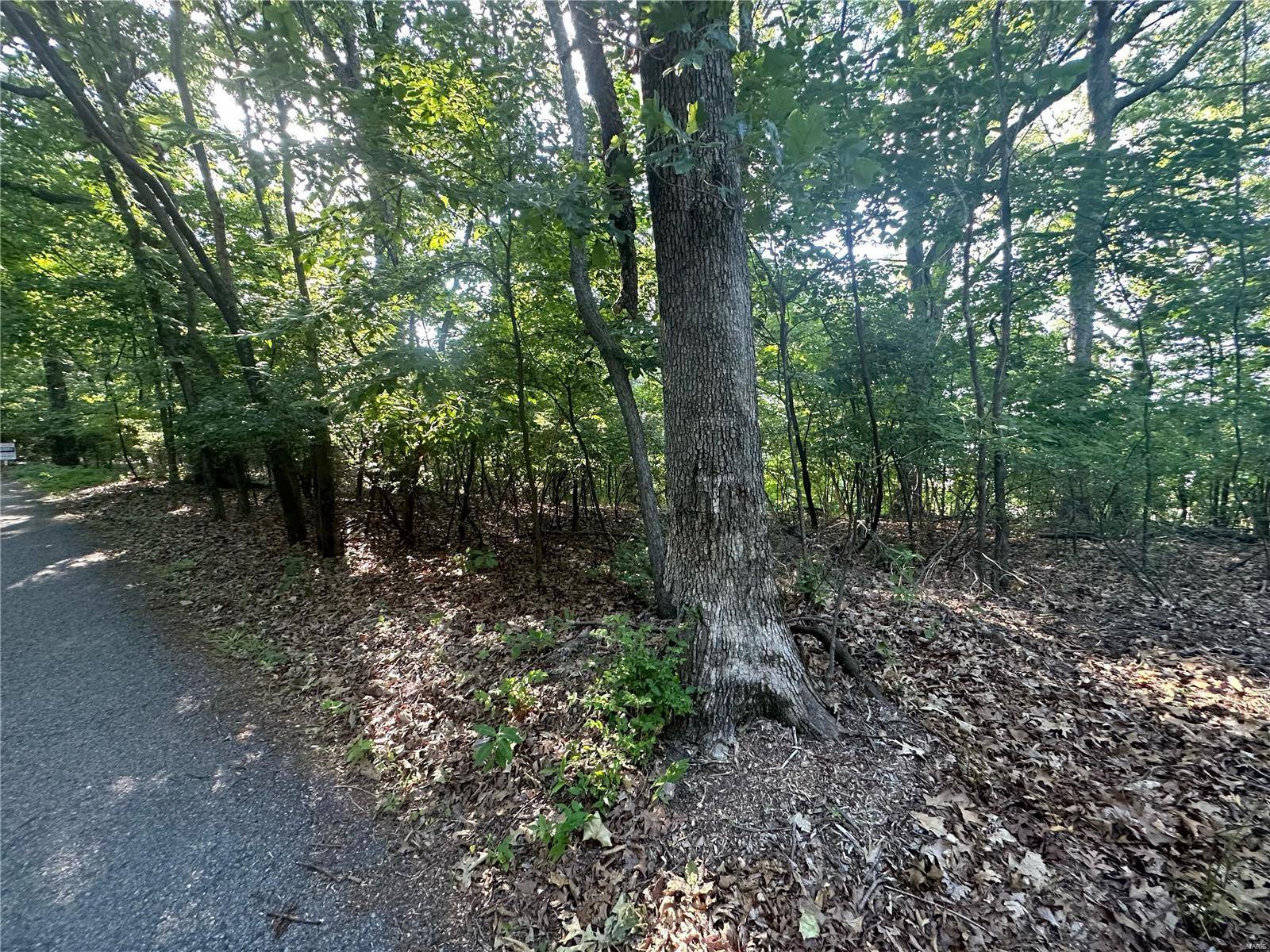 Fenton, MO 63026,923 Hickory LN