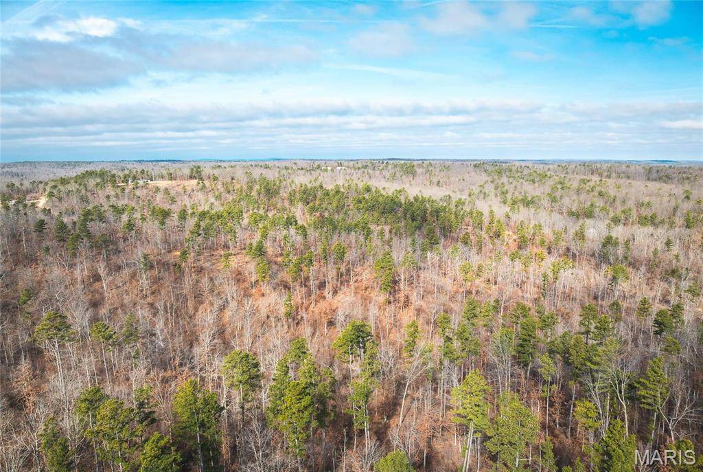 Potosi, MO 63664,0 Delbridge RD