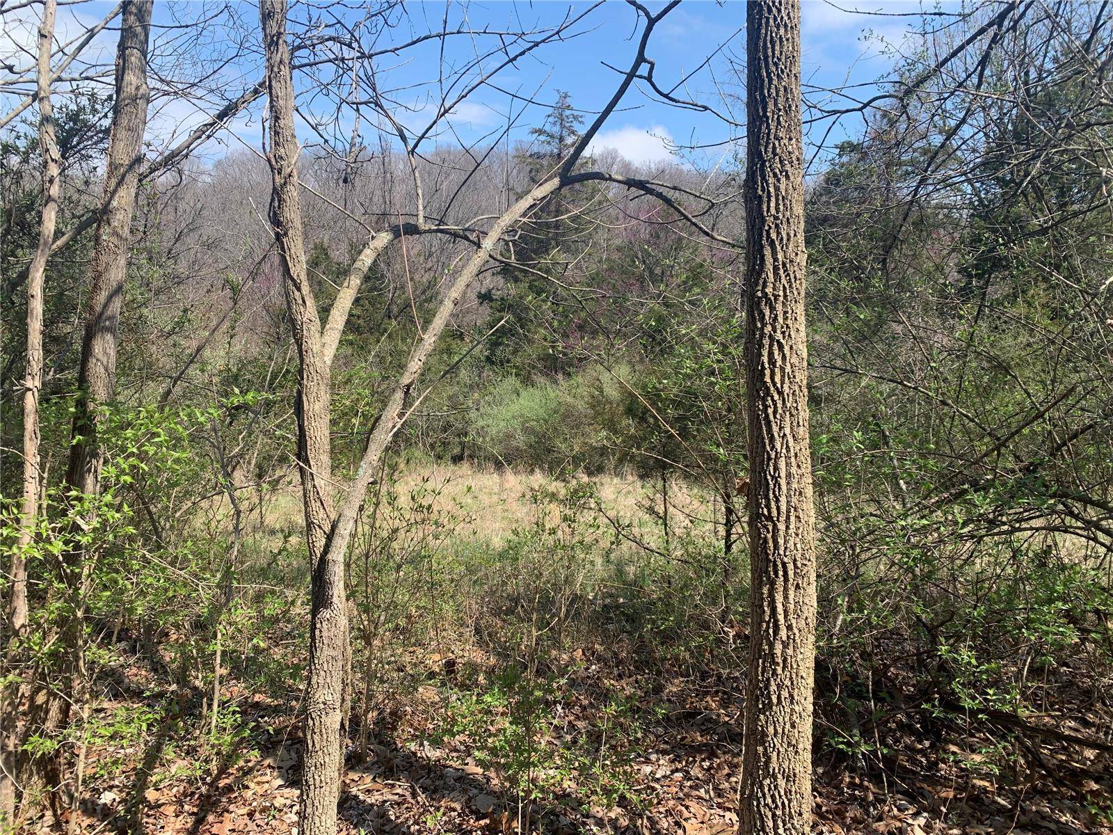 Wildwood, MO 63038,910 Old Eatherton