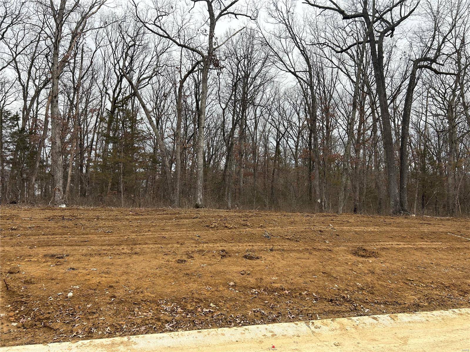 Warrenton, MO 63383,1 hawthorn Valley DR #lot 1