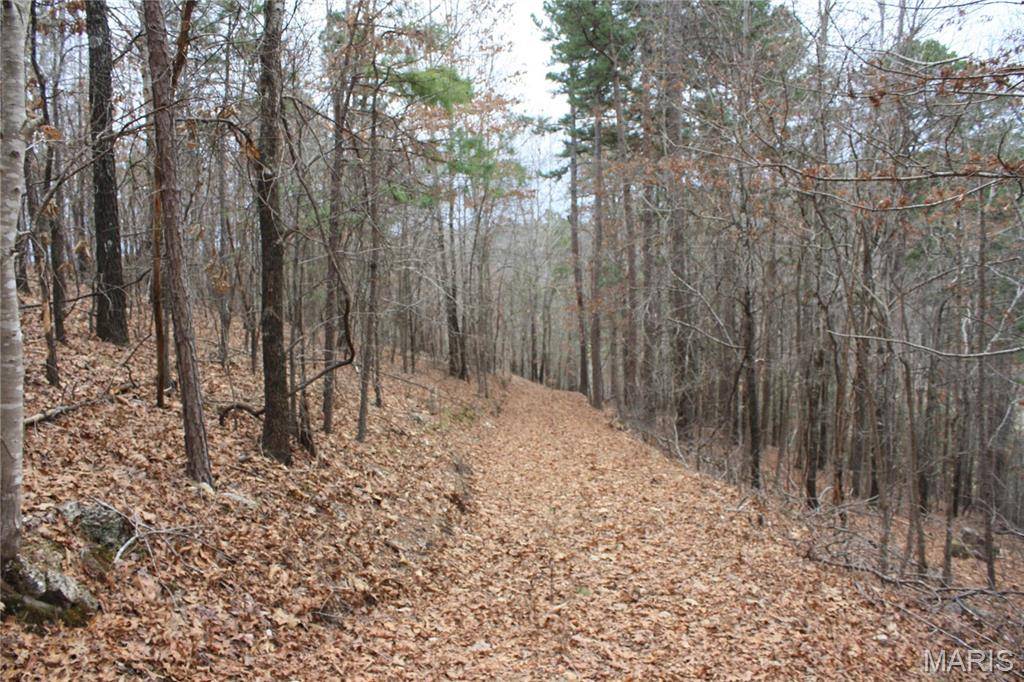 Fremont, MO 63941,0 Carter 154