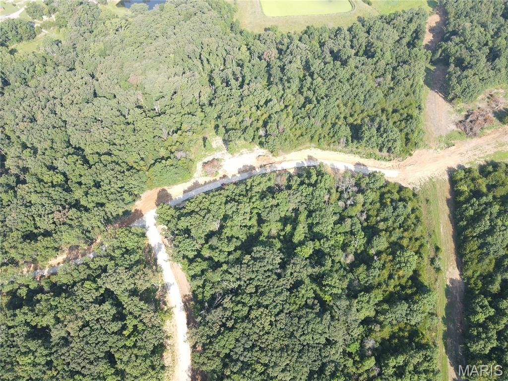 Monroe City, MO 63456,10 Appaloosa TRL