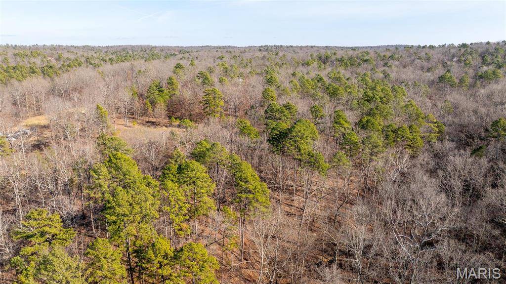 Potosi, MO 63660,0 Log Ridge Road