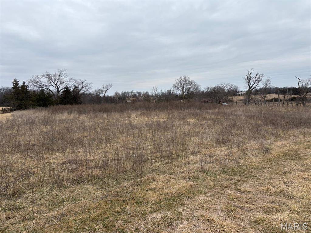 Monroe City, MO 63456,2 Redwood Trail